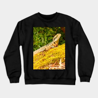 Australian Water Dragon Crewneck Sweatshirt